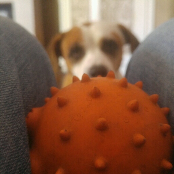 Meet your Posher, Kevin - Picture 1 of 1